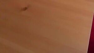 Another day, another nut for you all.