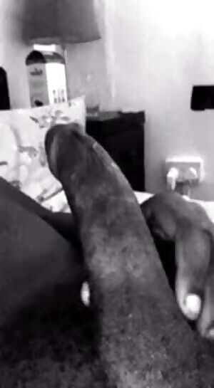 Made a gif for y'all. Pm opinions/ratings.