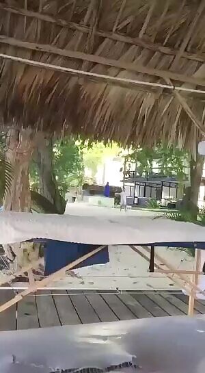 Vacation