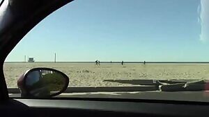 Enjoying the sunlight