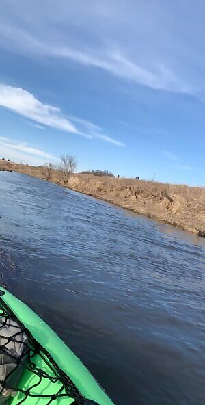 I need a buddy to go on adventures with ⛵