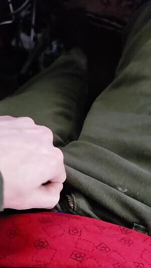 If you're going to whip out my cock, you better finish me off. It's a bother to put away when it's still hard.