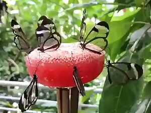 Off work all day so we can play together!