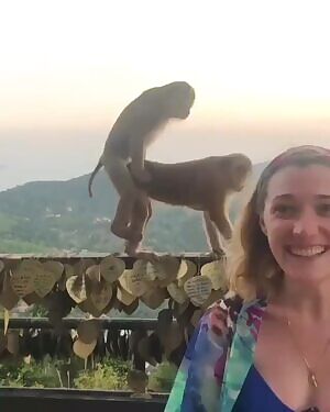 Look at the beautiful view.