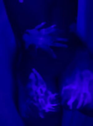 Quarantine has me feeling.. creative. 👀🍆✨ 3-20 {F/20}