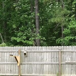 Look at this dumb fat fuck get taught a lesson.