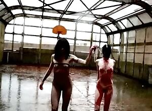 being led on a leash