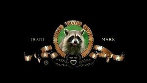 Vail Bloom - Too Late