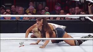 I would do so many things to AJ Lee...