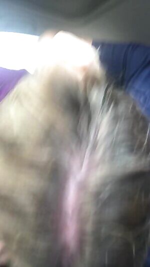 Texas hotwife deepthroating me in my car while her husband watches