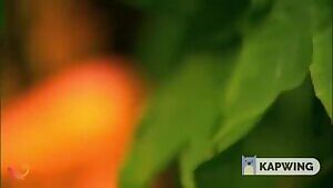 Ashley Greene, Yvonne Strahovski, Kate Upton