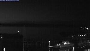 Beach Widowmaker getting frisky