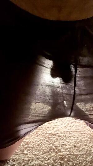 My shorts are a little see-through...