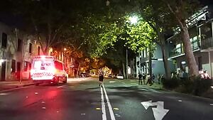 Cacia Zoo Taiwanese model