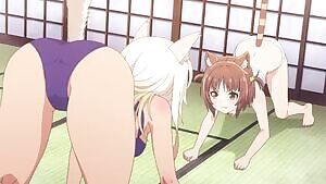 Cat fight
