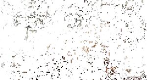 Alix Lovell Riding A BBC