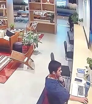 Newborn colt learning to walk