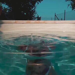 Splash