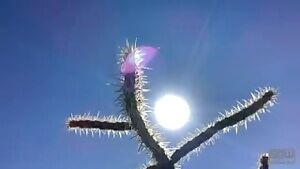 Climber couple have sensual sex in outdoors