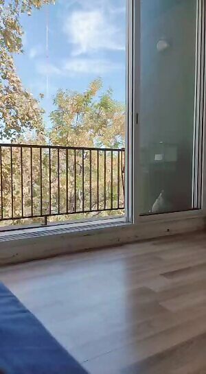 Play or a surprise :o