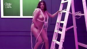 No Control-Sherlyn Chopra209mb