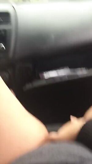 u/ladyredbush6 pisses on her dashboard!