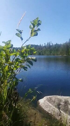 Free willy! :) Ask me anything