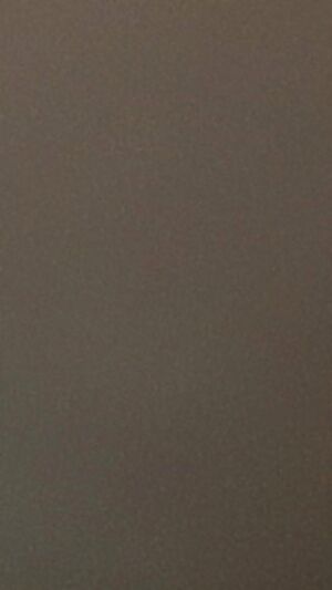 Wife ass in gray yoga pants