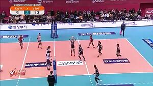 Korean Volleyball Girls