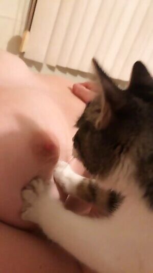 y kitty playing with some titties to bring in the new year 🎊