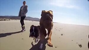 Honestly...I would have just shot it out back before this gif was even created.