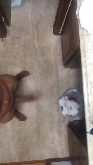 The murder hornet been in America.