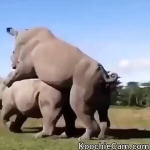 Just couldn’t hold it