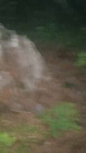 when you gotta go, you gotta go 🤷