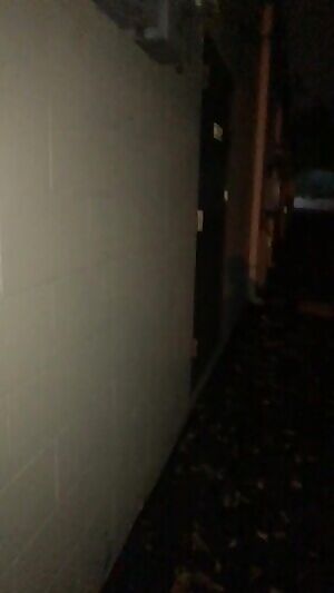 In the ally next to the bar.