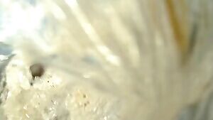 Sneaking a blowjob at the beach