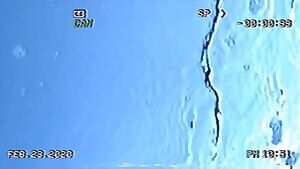 Fall deep, drown Euphoria