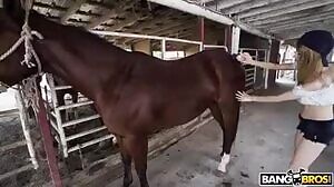 Kristy May Rides A Stallion - Bangbros 18