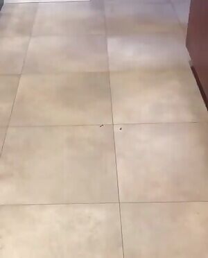 Because you guys deserve a little puppy love.