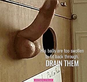 Give him some much needed relief, sissy 💋 ~ MistressStella.com