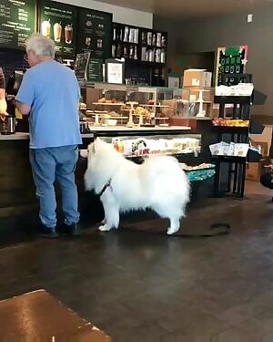 I know, I know..but.... wiggle wiggle wiggle