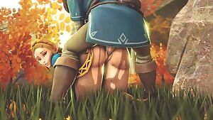 Princess Zelda and her champion