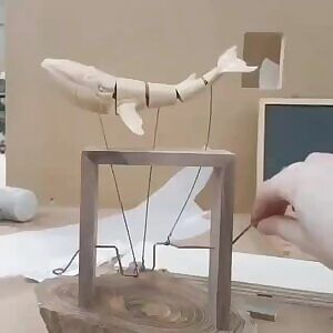 This is so cool