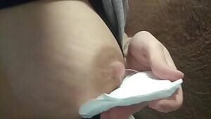 Lactating