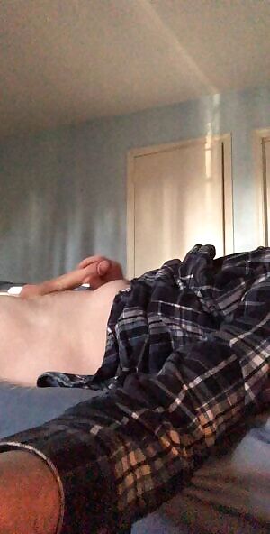 Morning Light Delight