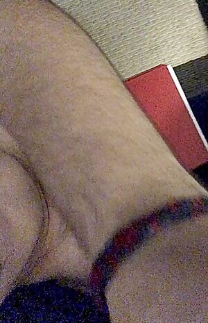 it’s my cake day so i treated myself with a toy 🥵