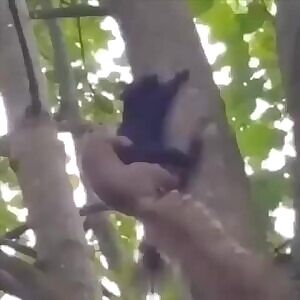 These worthless fatties just can’t say no