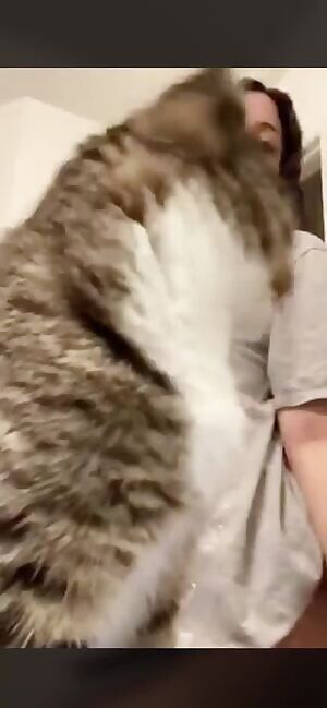 Damn cat, smh. 😩😂