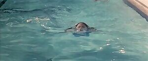 Denise Richards - Wild Things