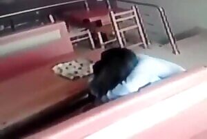 Couple decided to have sex in a restaurant